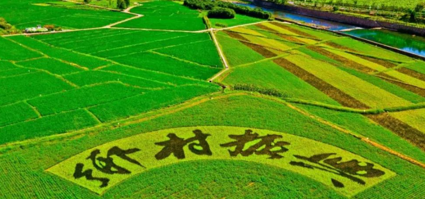 陕西省发展改革委召开“十五五”规划编制乡村振兴领域座谈会