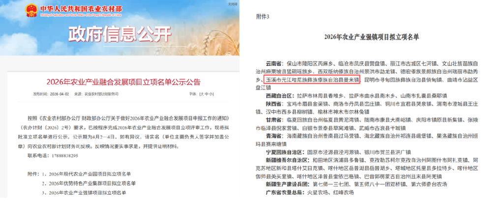 中建政研集团助力玉溪市元江县曼来镇入选农业农村部2026年农业产业强镇项目拟立项名单